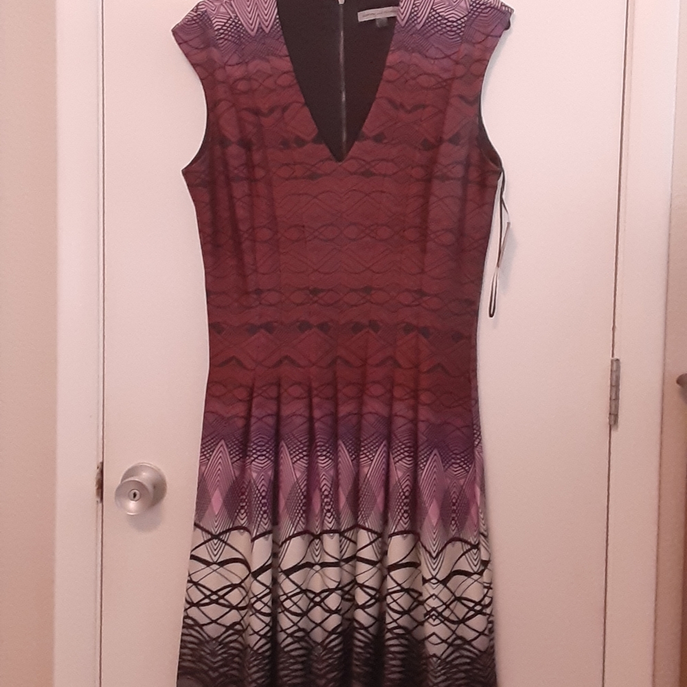 danny and nicole wine dress